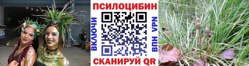Купить  Удомля  Псилоцибиновые грибы GOLDEN TEACHER 
